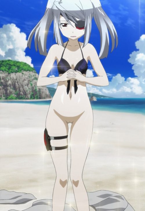 infinite_stratos_erocolla05_19