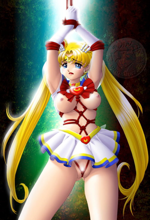 Pretty GuardianSailorMoon1004