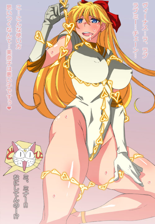 Pretty GuardianSailorMoon7085