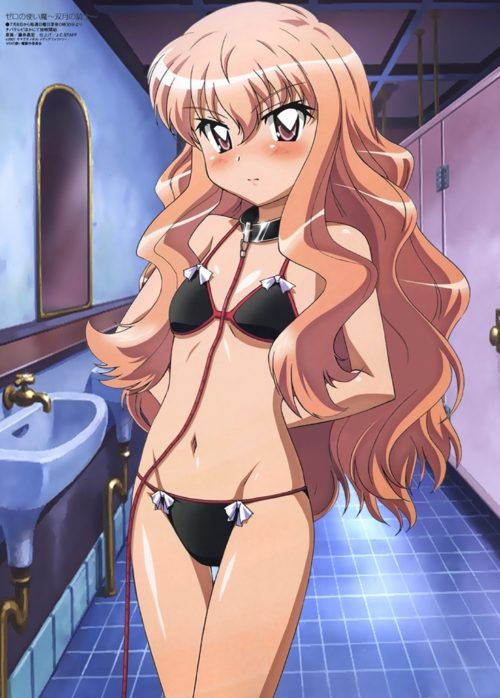 zero_no_tsukaima069