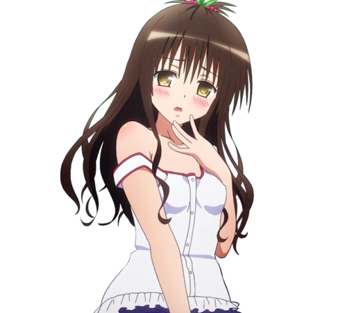 mikan07016