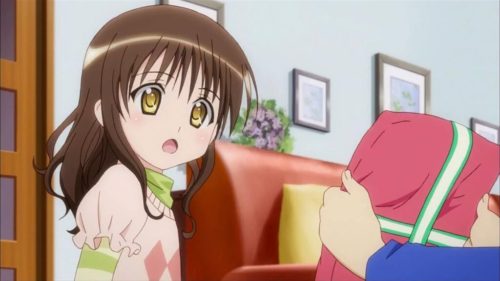 mikan070551