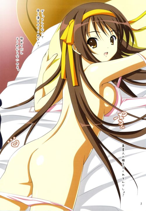 suzumiyaharuhi068