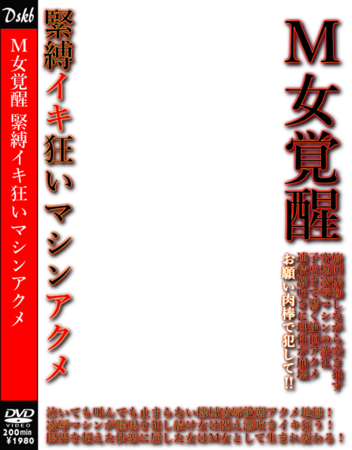 DVDhaikei003