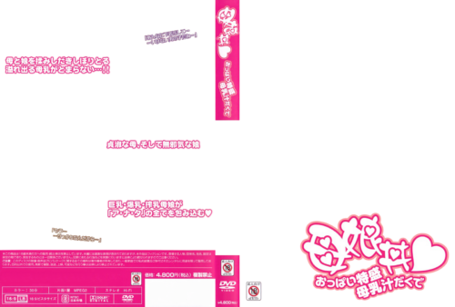 DVDhaikei004