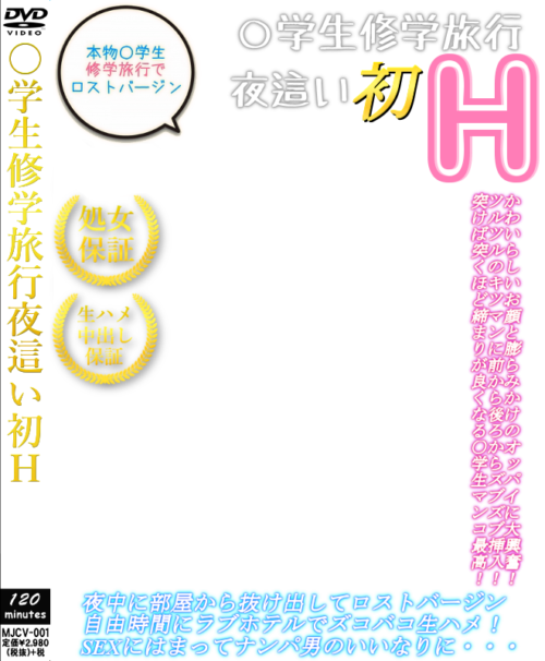 DVDhaikei009