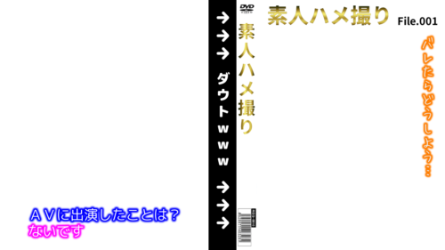DVDhaikei020