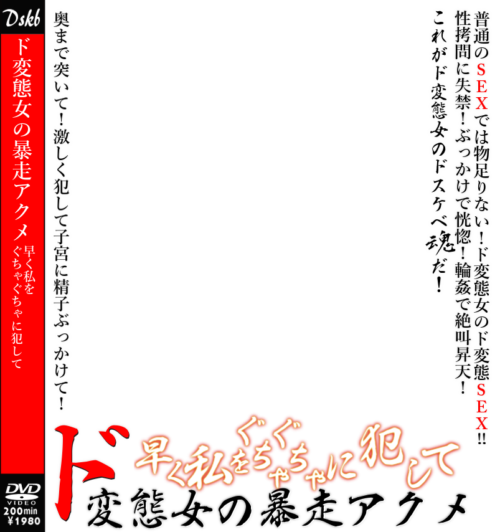 DVDhaikei024