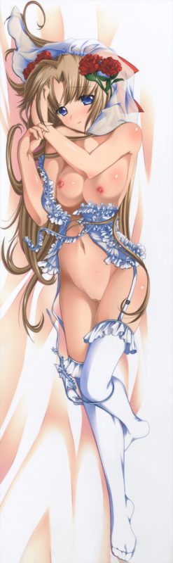 dakimakura0910038_r