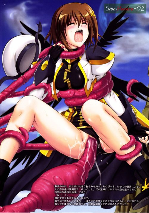 nanohaero0920007