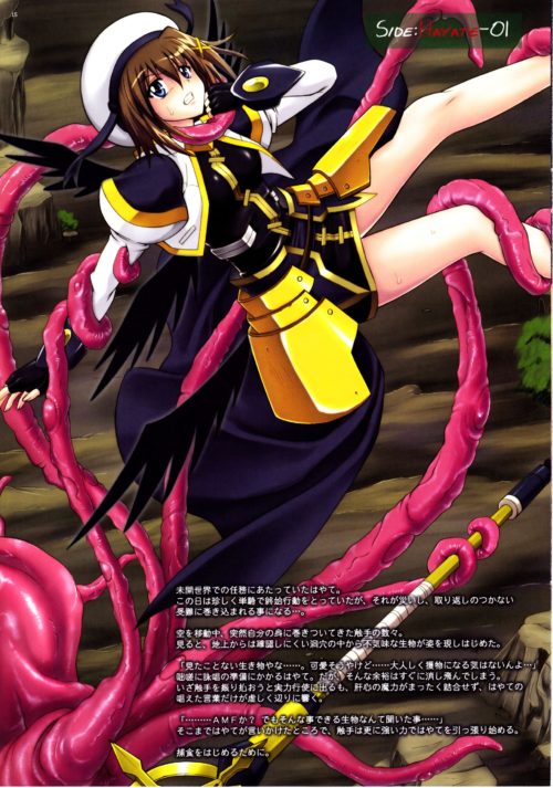 nanohaero0920015