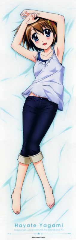 nanohaero0920018_r