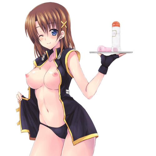 nanohaero0920025