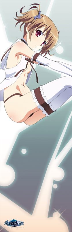 gurizaianomeikyu186_r