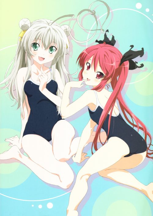 haiyorenyurukohagikora033