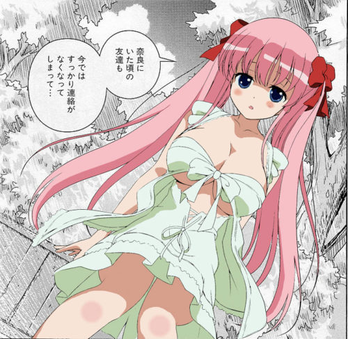 saki11034